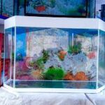 Aquarium MM
