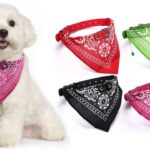 Collier chien bandana