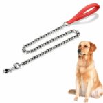Laisse pour chien