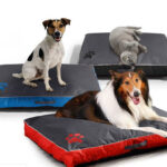 Matelas pour chien déhoussable et imperméable